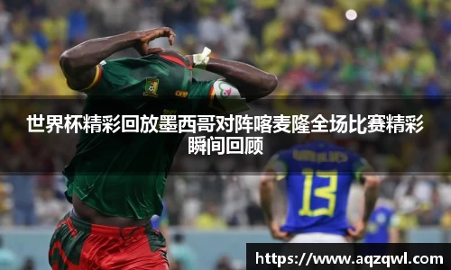 世界杯精彩回放墨西哥对阵喀麦隆全场比赛精彩瞬间回顾